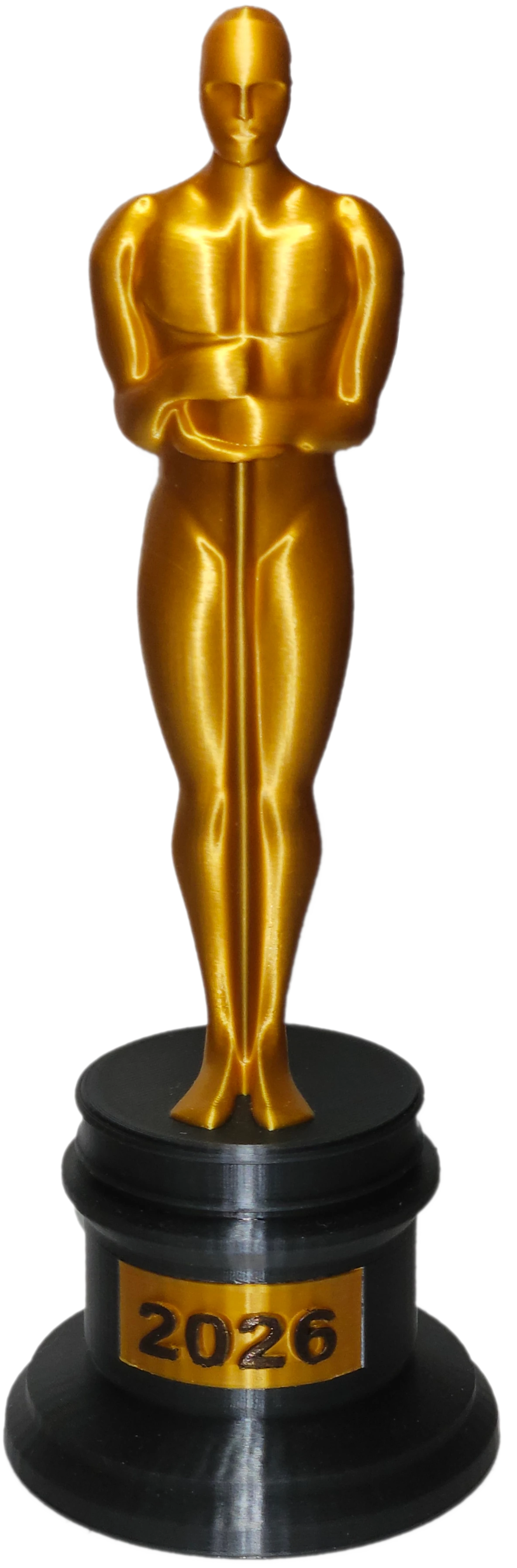 Winner's 3D Printed Award